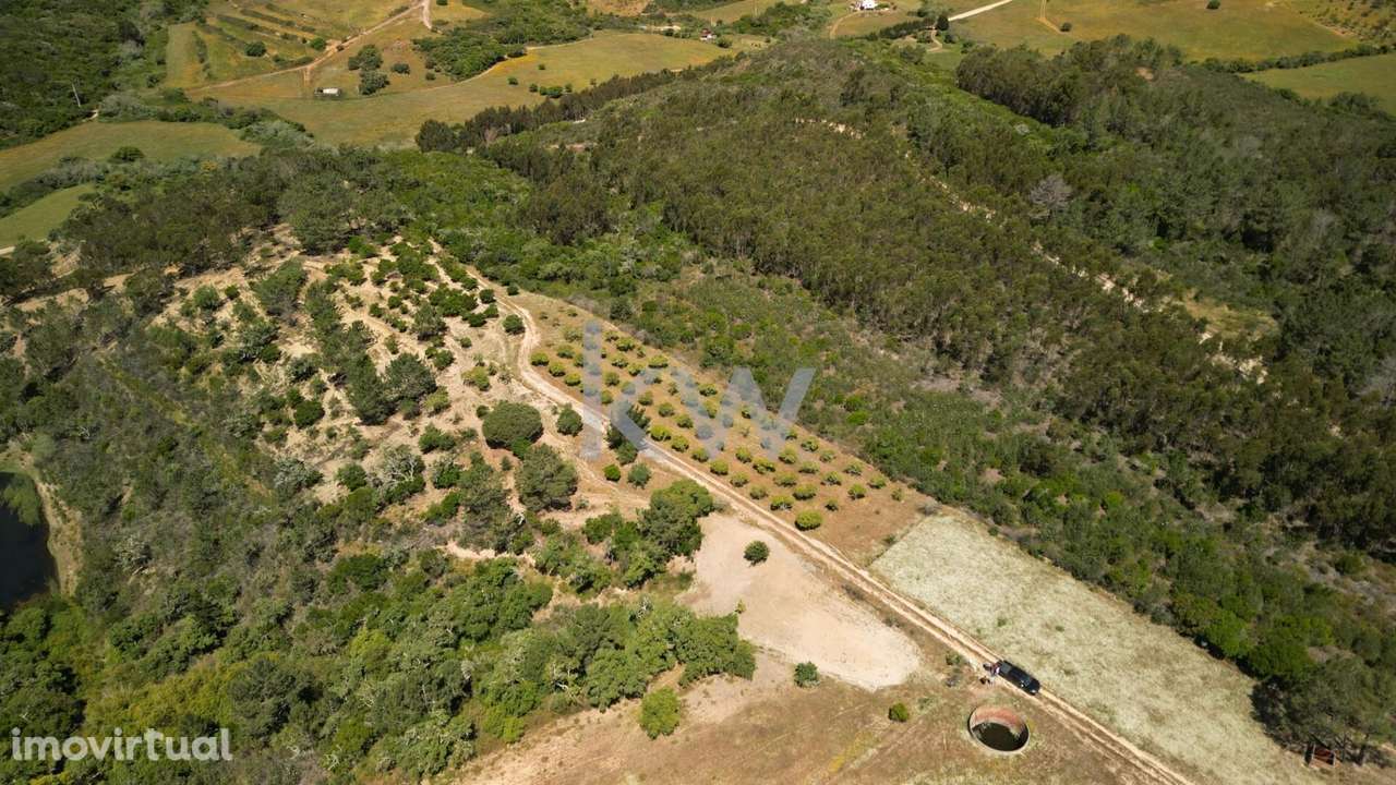 Casa de Campo tipicamente portuguesa com 20 hectares - Pedralva, Vila - Grande imagem: 3/51