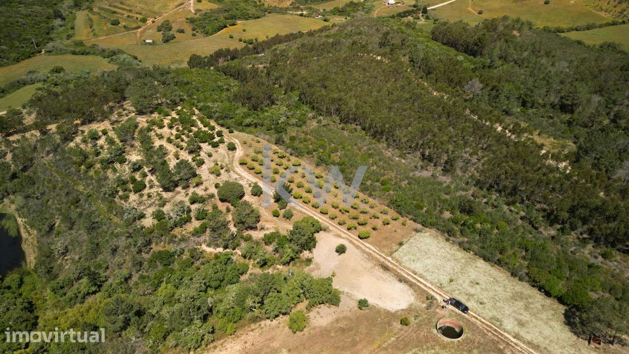 Casa de Campo tipicamente portuguesa com 20 hectares - Pedralva, Vila - Grande imagem: 3/51