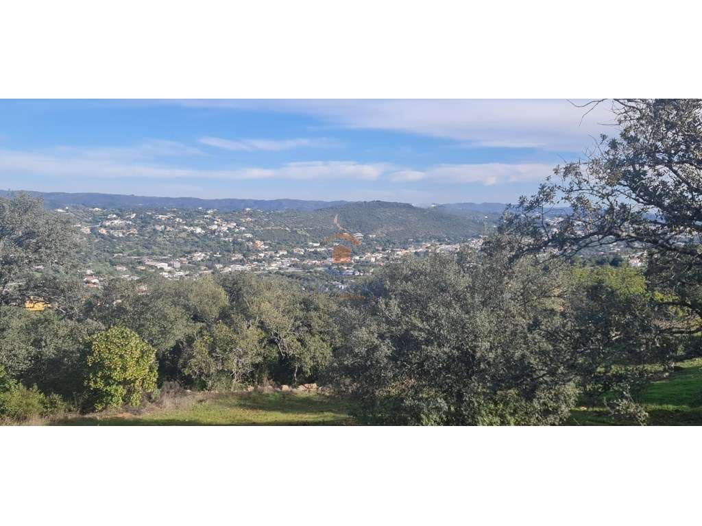 Terreno com ruína 1.700 m2 | São Brás de Alportel, Algarve - Grande imagem: 5/19