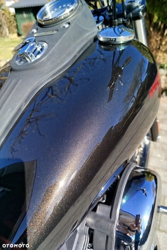 Harley-Davidson Dyna Street Bob - 20