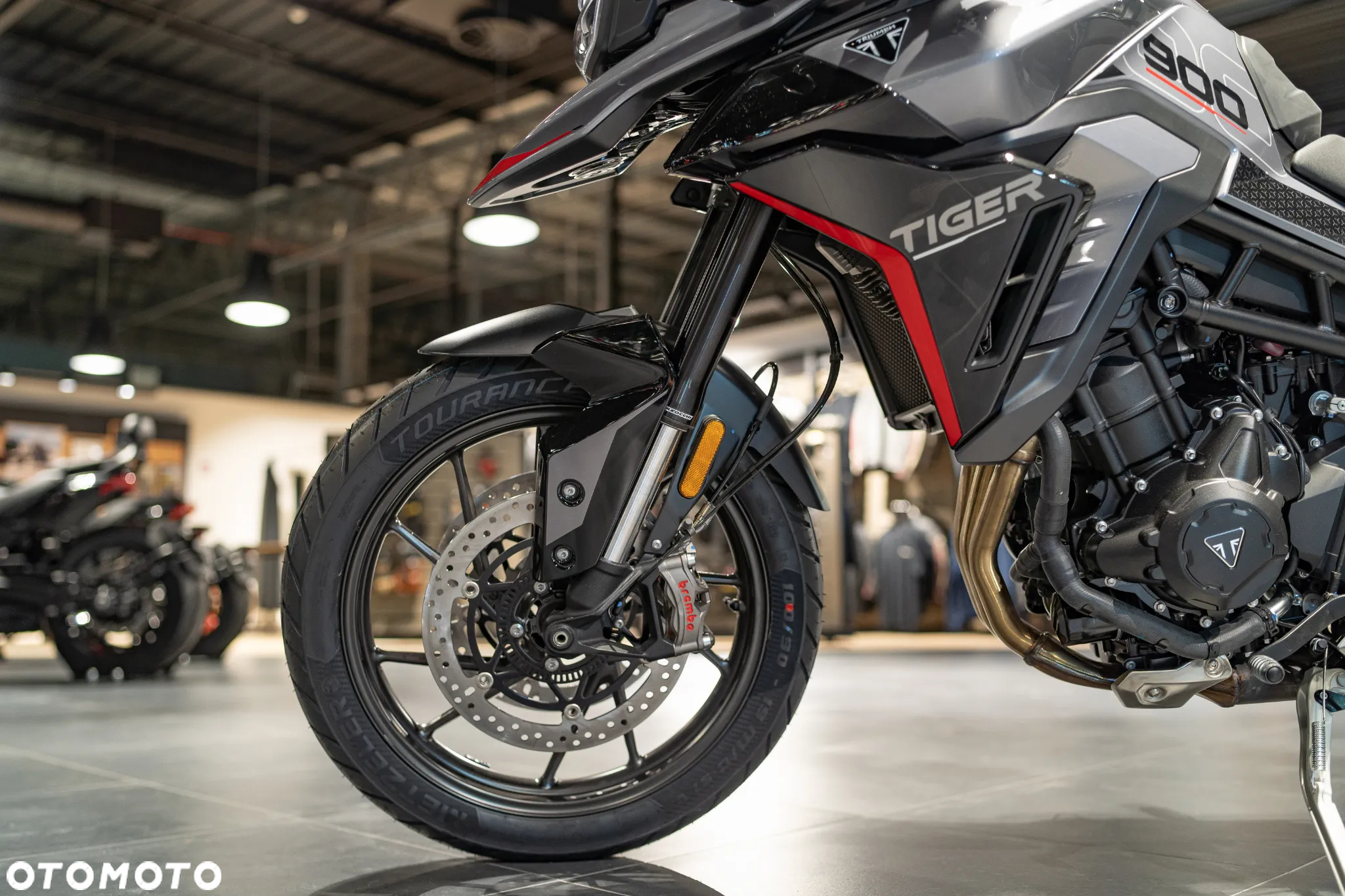 Triumph Tiger - 14