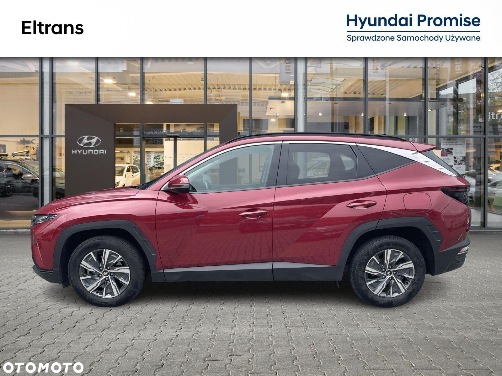 Hyundai Tucson 1.6 T-GDi HEV Executive 2WD - 3