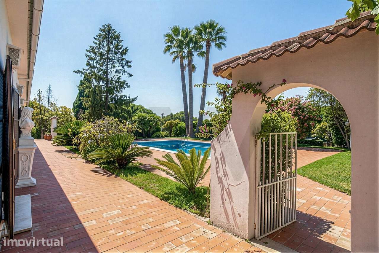 Refúgio na Arrábida | Quinta de 1,5ha | moradia térrea| piscina | cort - Grande imagem: 5/60