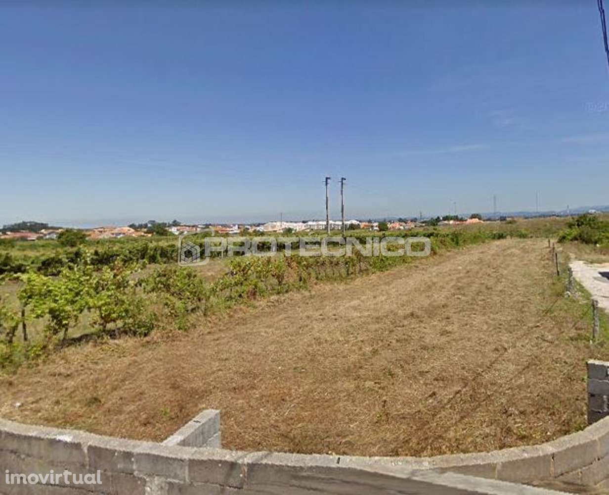 Terreno c/ 3.000m2 - Cacia - Grande imagem: 4/4