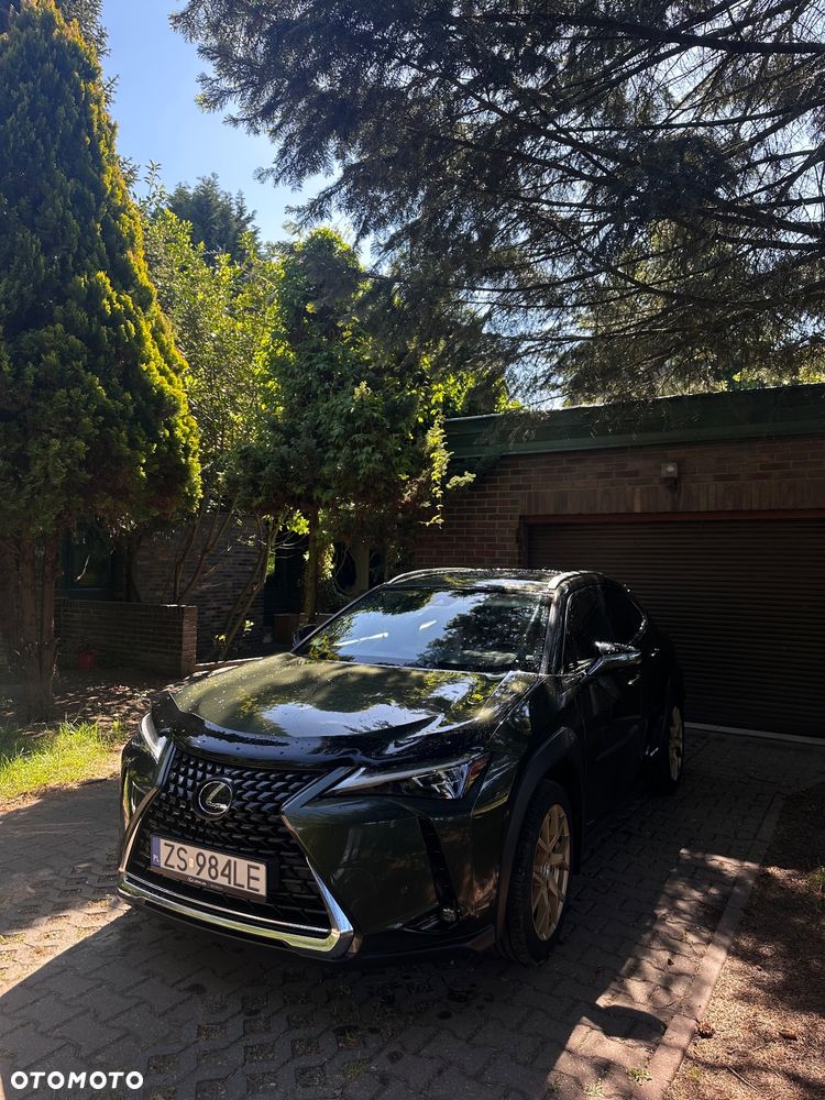 Lexus UX 200 Prestige 2WD - 3