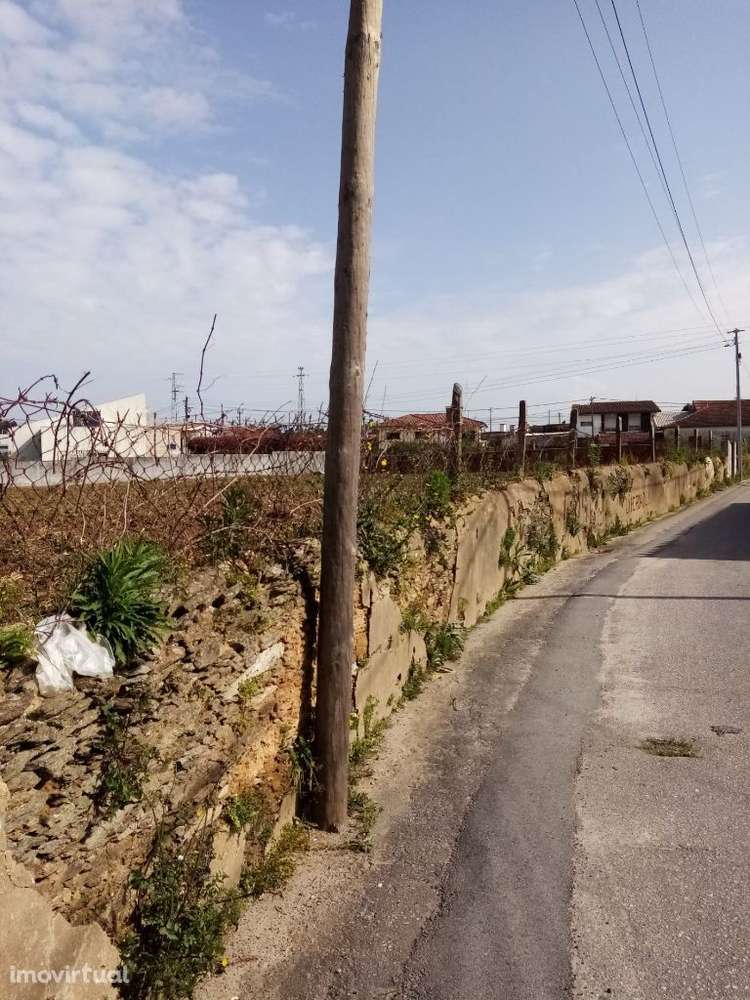 Terreno Rústico | Arada - Grande imagem: 5/7