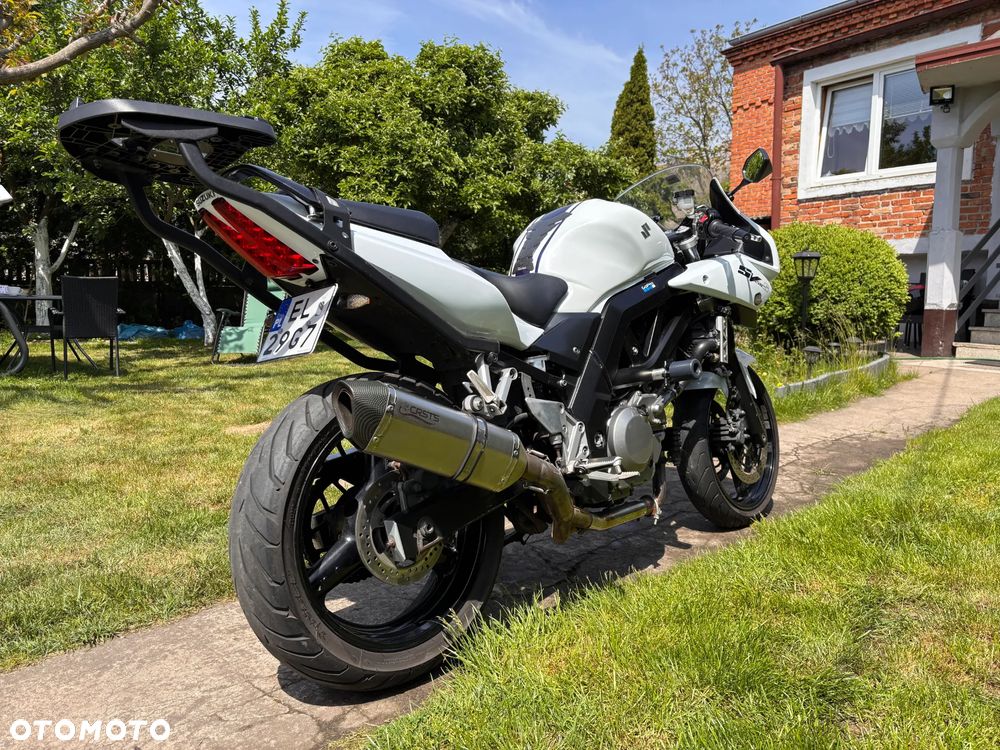 Suzuki SV - 6