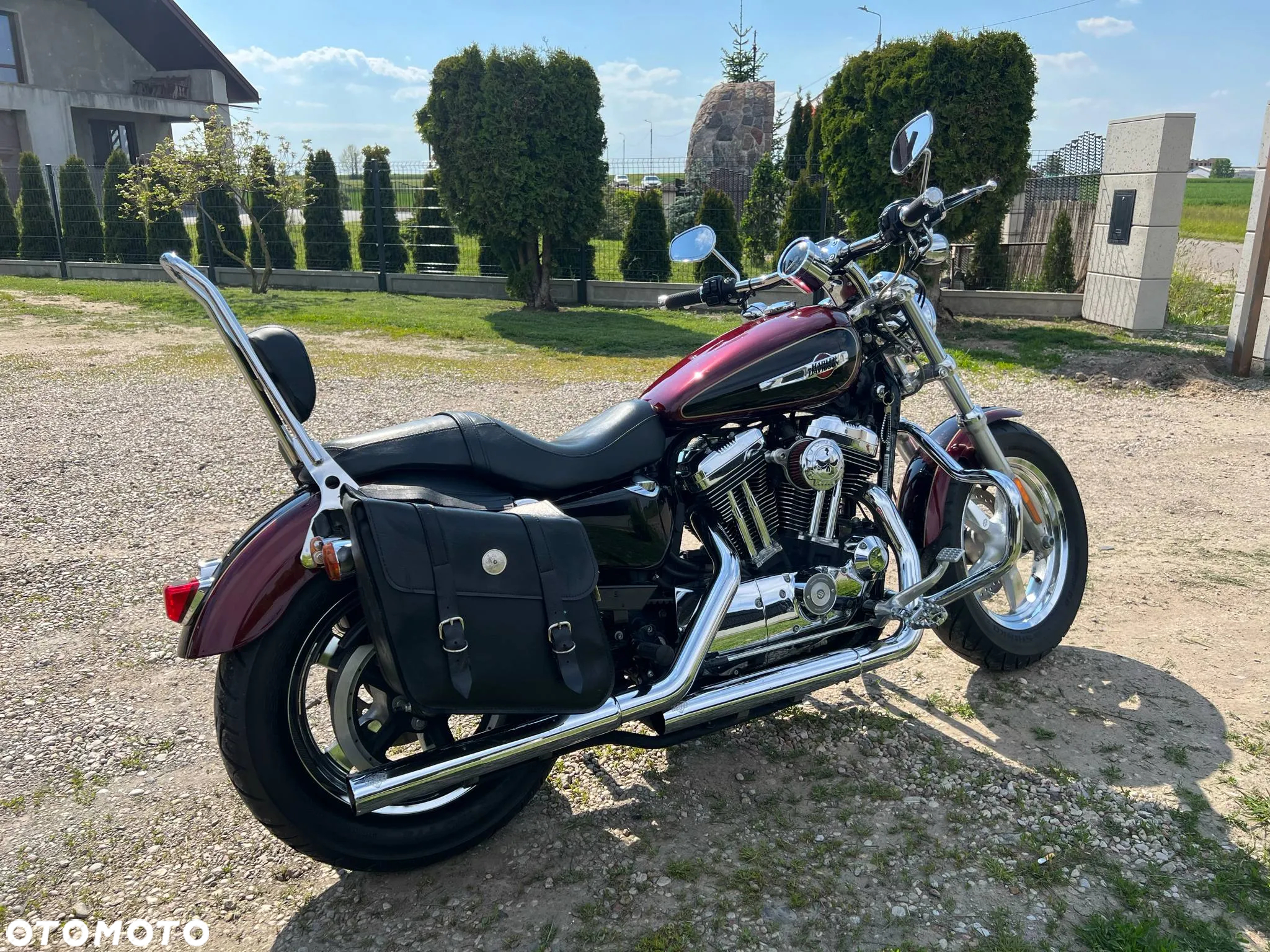 Harley-Davidson Sportster Custom 1200C - 6