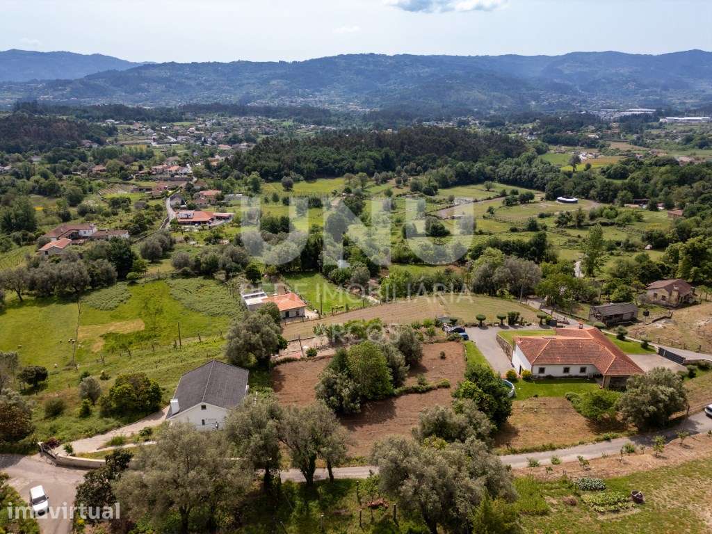 Excelente Terreno com Viabilidade de Construção em Távora (São Vice... - Grande imagem: 4/11