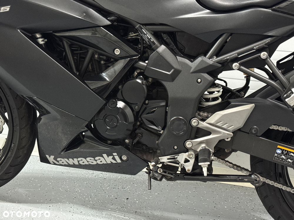 Kawasaki Ninja - 22