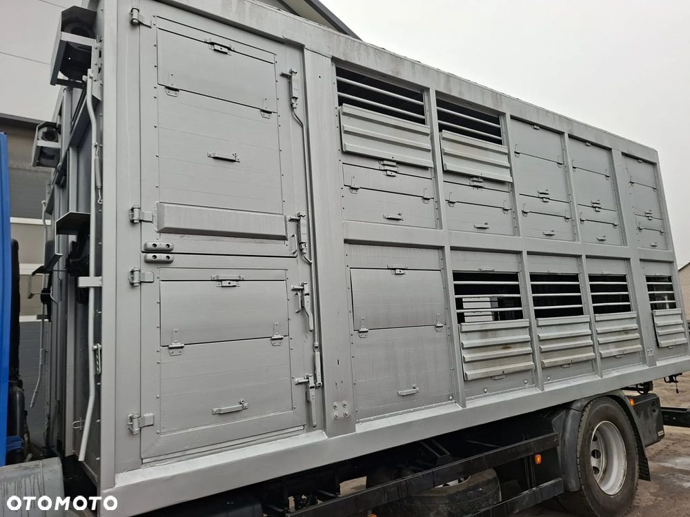 MAN TGM 18.250 4x2 DO ŻYWCA - 14