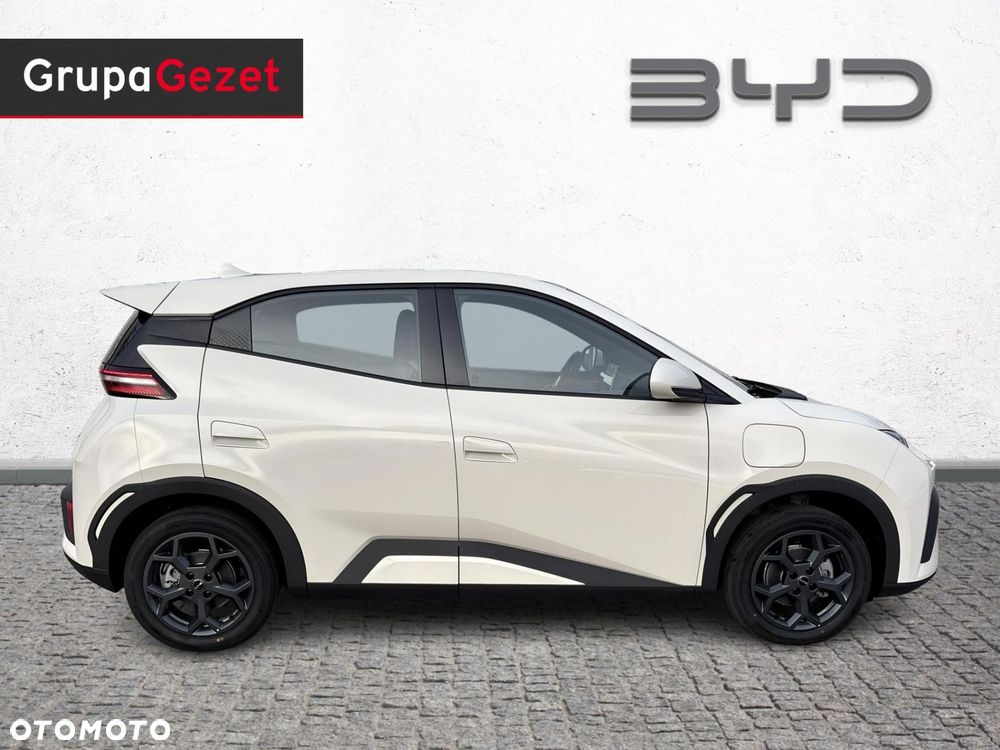 BYD Dolphin Surf - 6