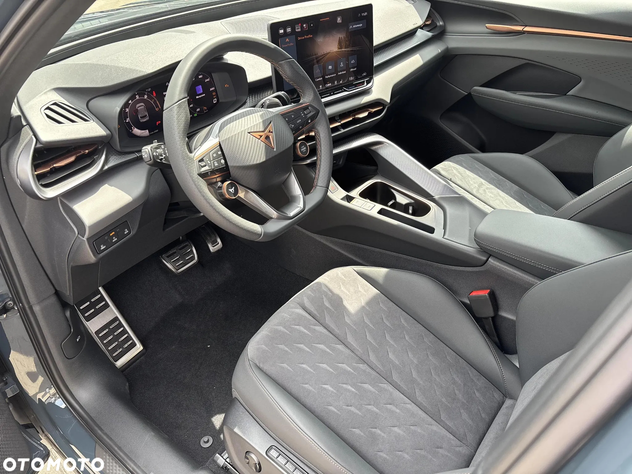 Cupra Terramar 2.0 TSI 4Drive DSG - 9