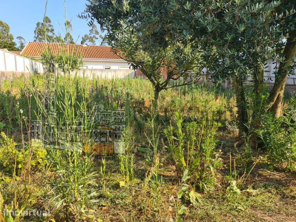 TERRENO PARA CONTRUÇÃO EM NOGUEIRA DA REGEDOURA - Grande imagem: 3/20
