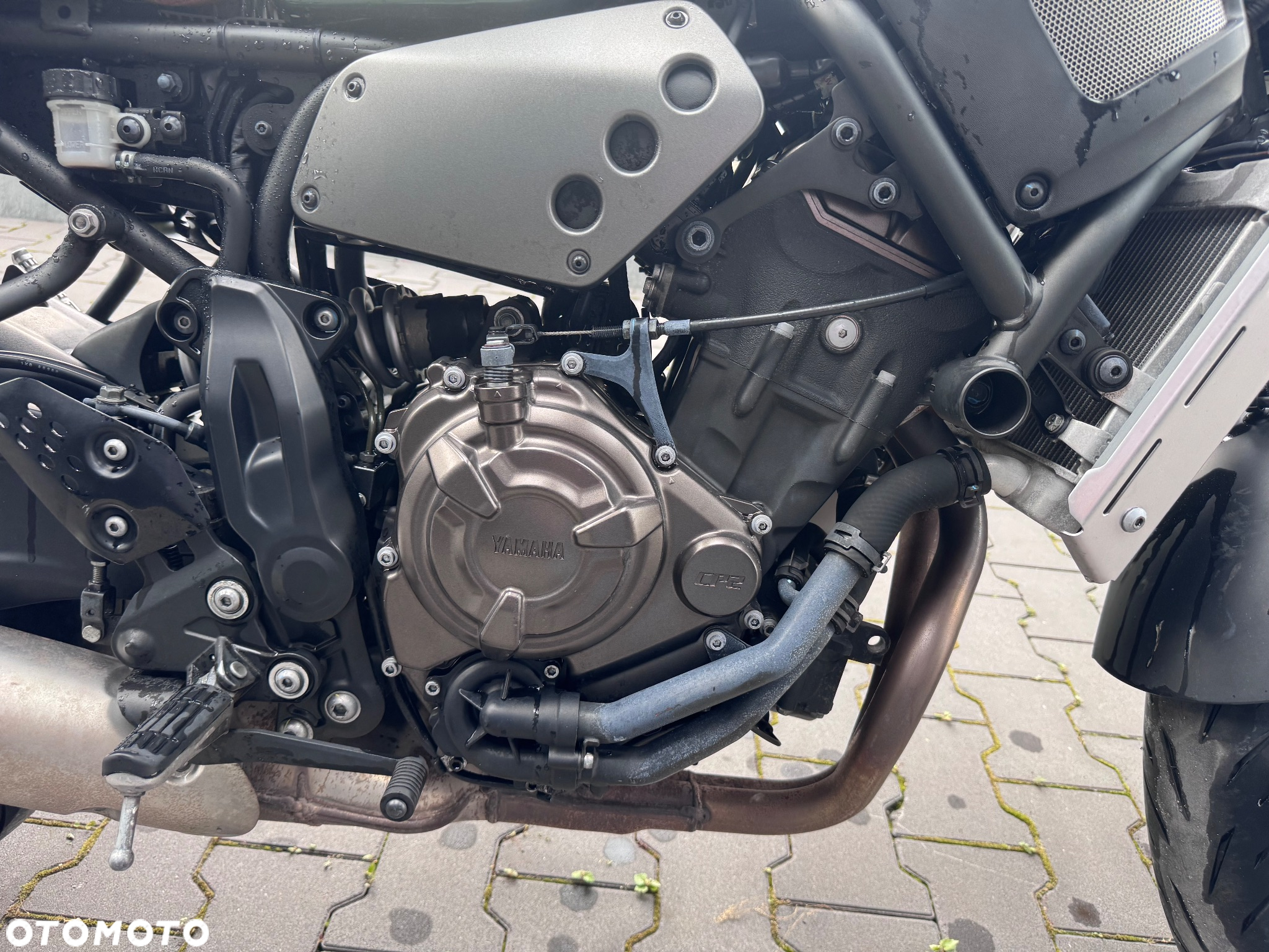 Yamaha XSR - 13