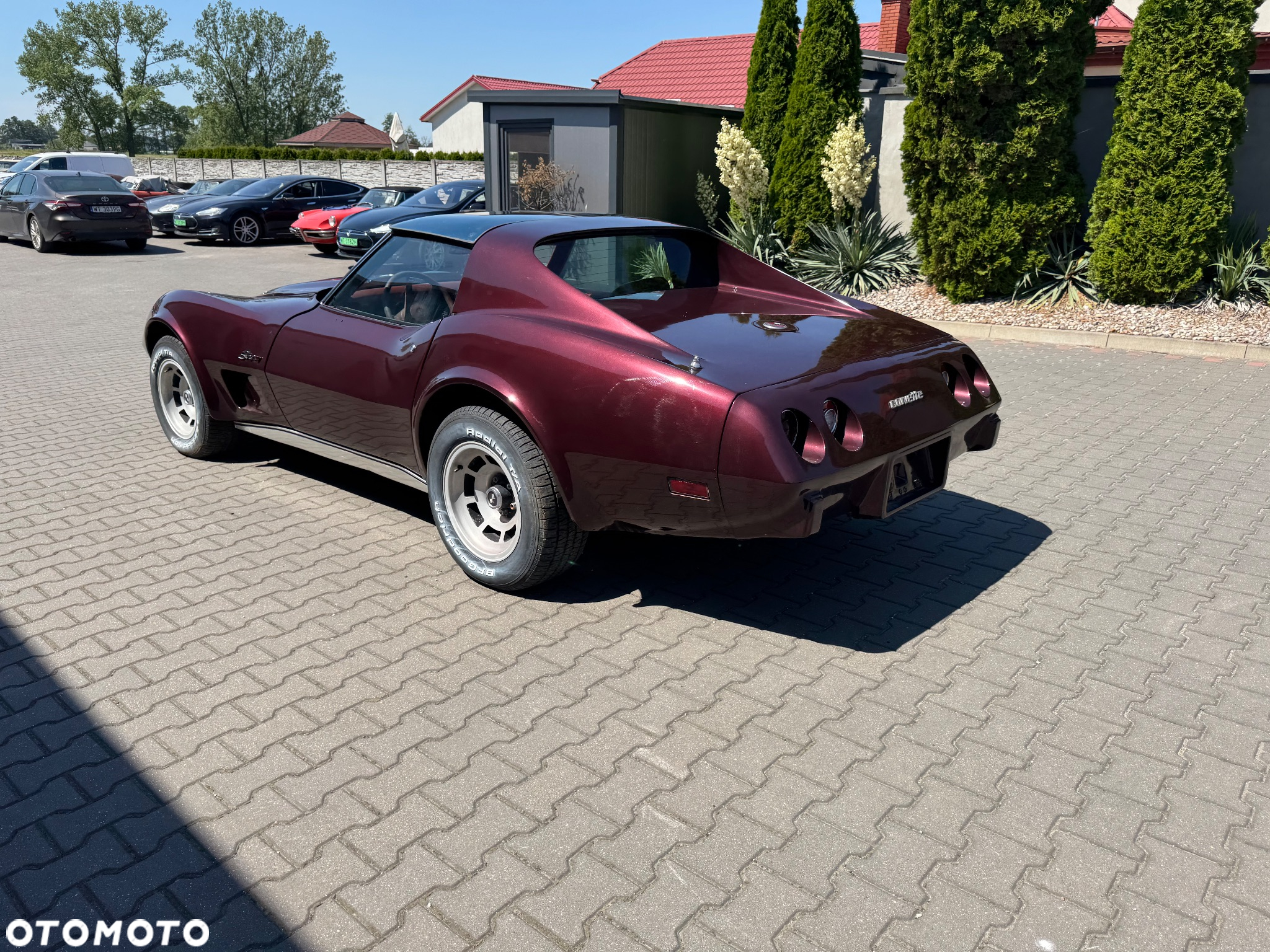 Chevrolet Corvette - 25