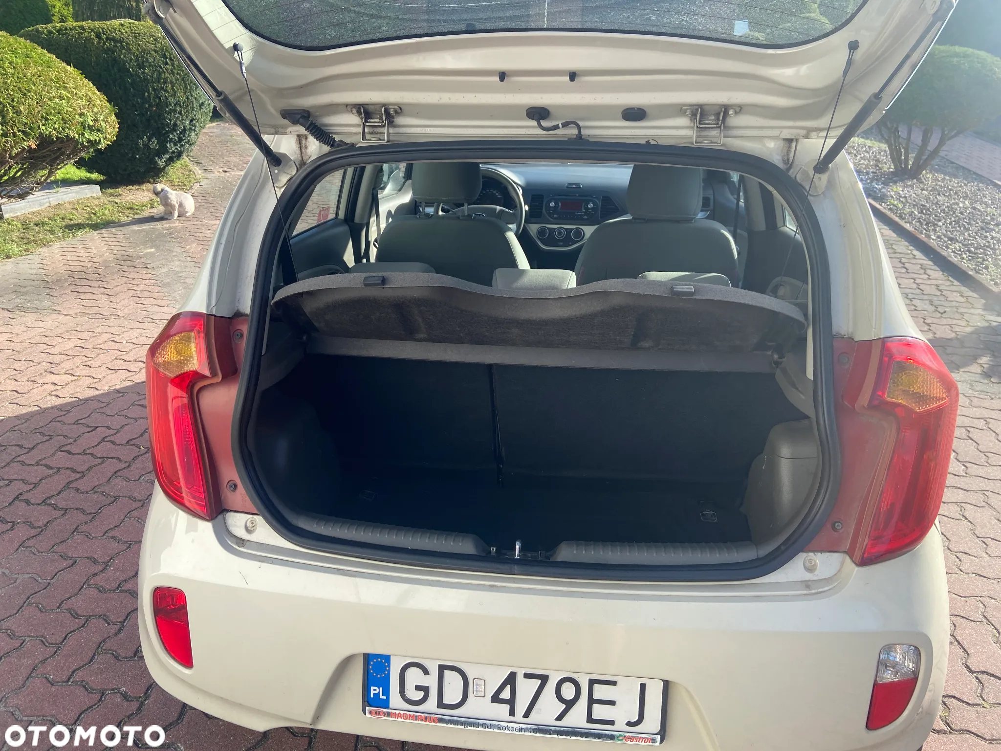 Kia Picanto 1.0 L - 5