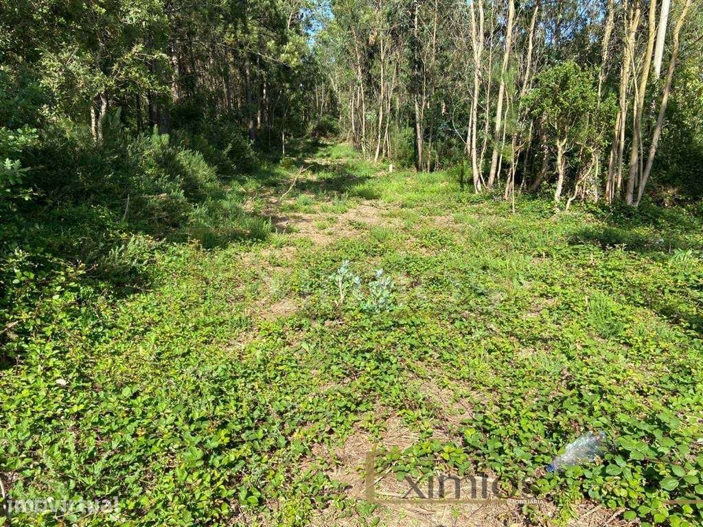 Venda de Terreno em Labruge, a 800 m da praia - Grande imagem: 2/7