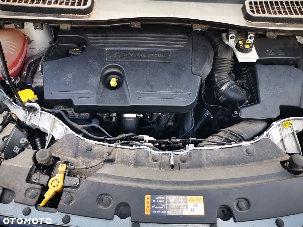 Ford Kuga 2.0 TDCi 4x4 ST-Line - 16