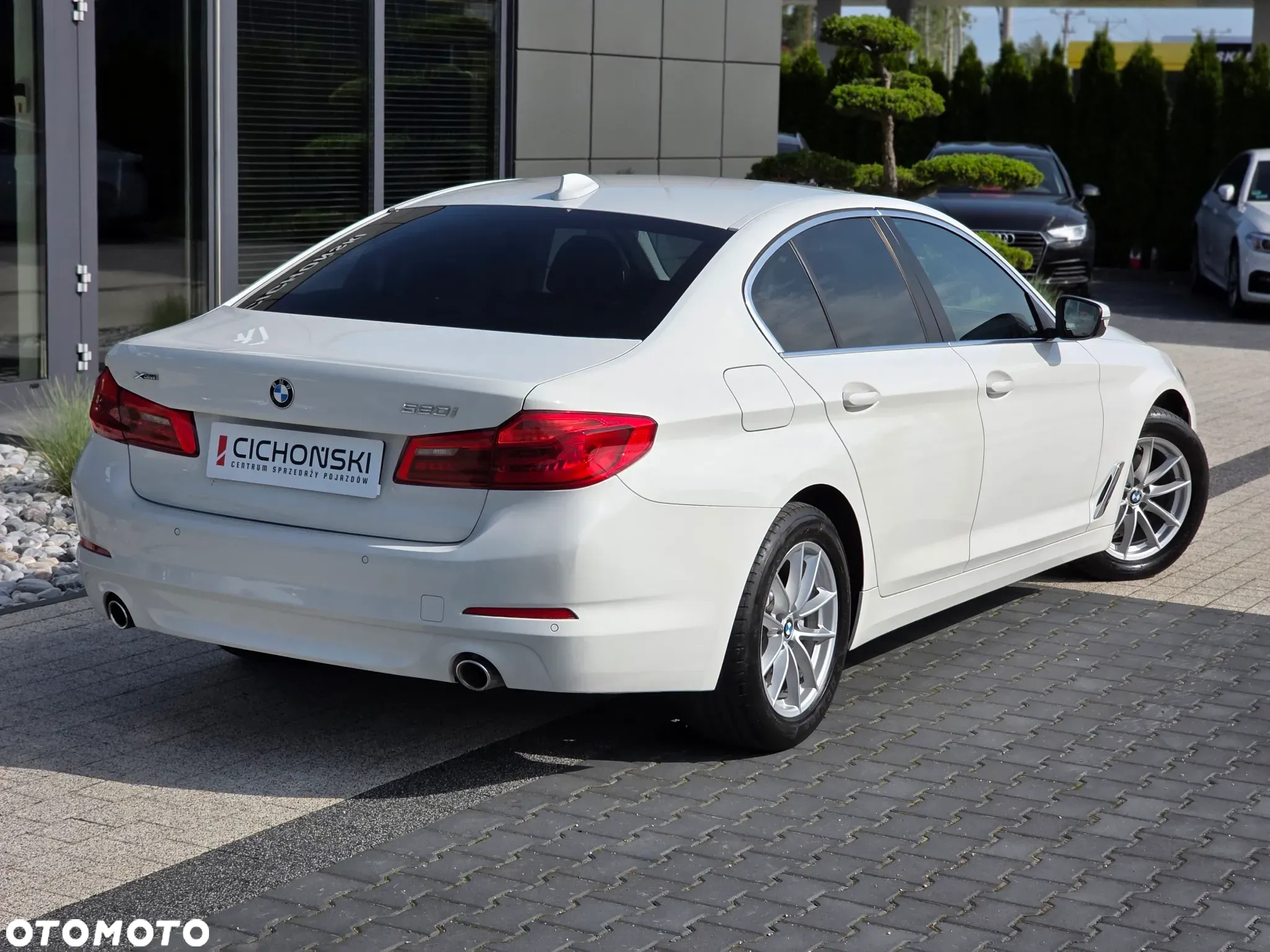 BMW Seria 5 520i - 7