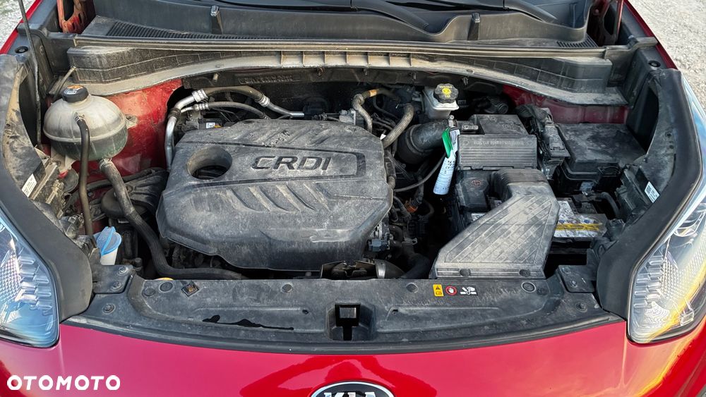 Kia Sportage 1.6 CRDI MHEV L Business Line 4WD - 13