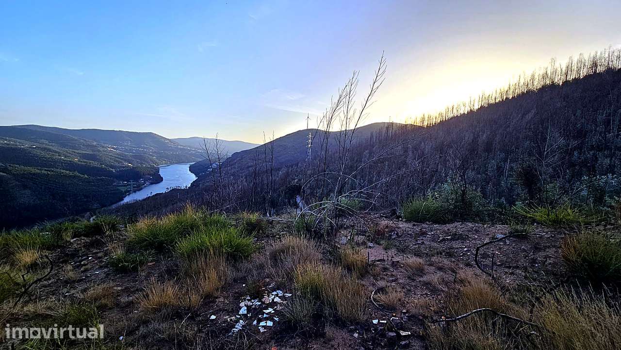Terreno com Vista Douro em Penafiel - Grande imagem: 2/12