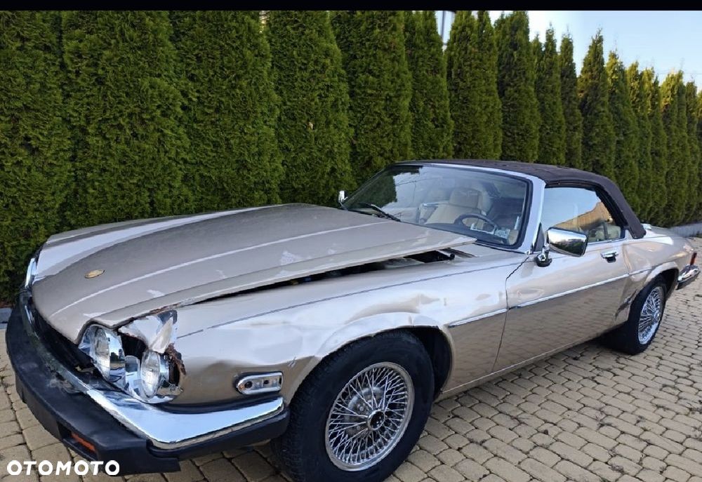 Jaguar XJS - 14