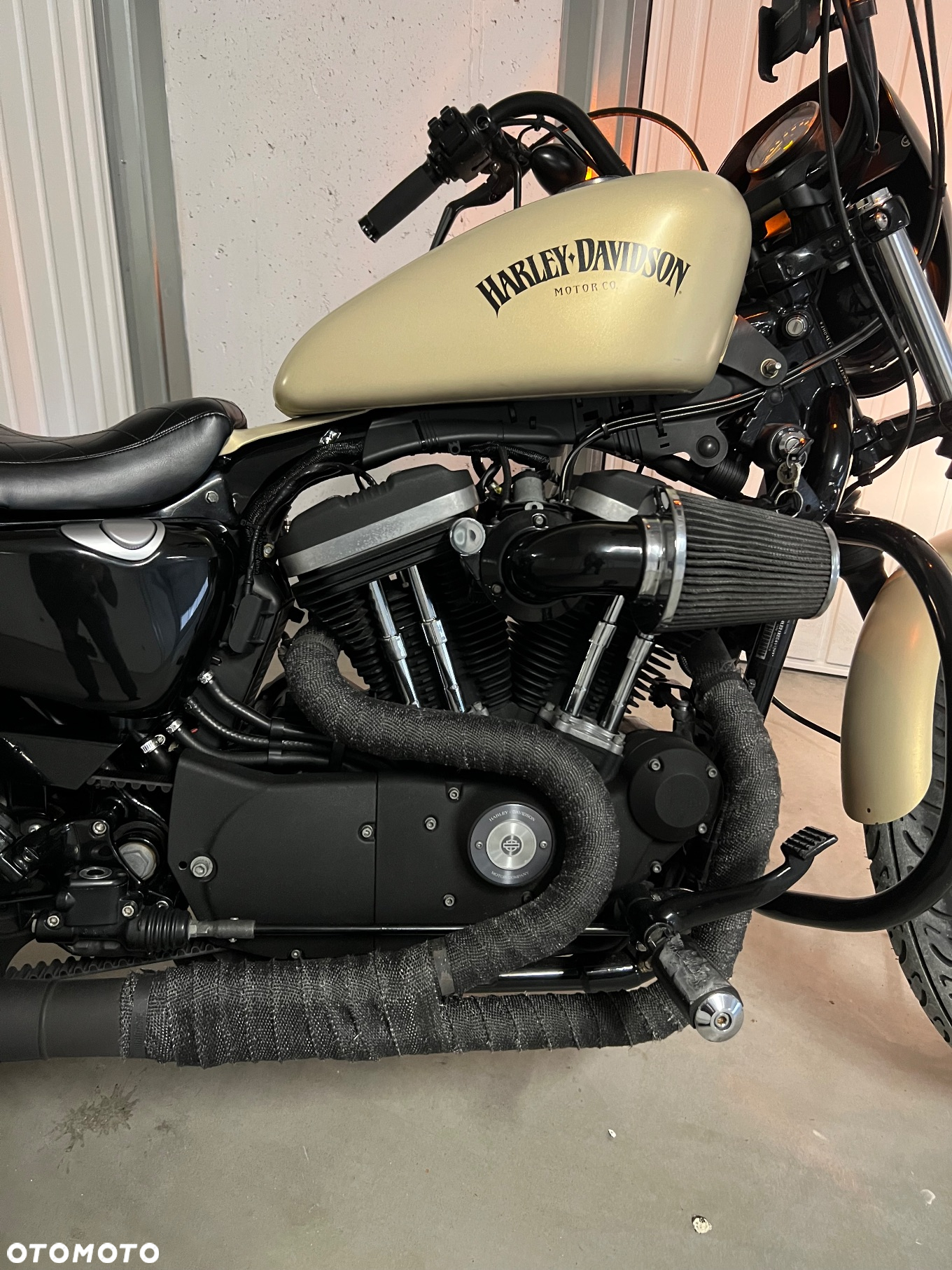 Harley-Davidson Sportster Iron 883 - 2
