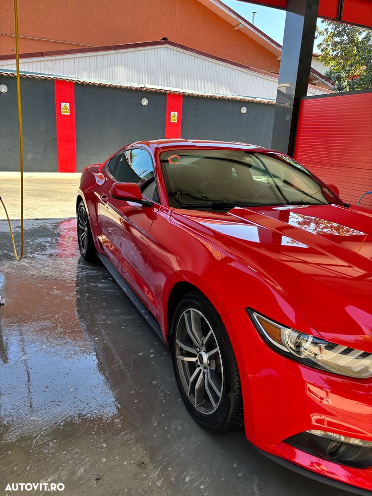 Ford Mustang - 19