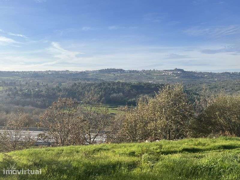Terreno com Souto e cultivo junto á IP2 Trancoso, com acesso a agua - Grande imagem: 5/7
