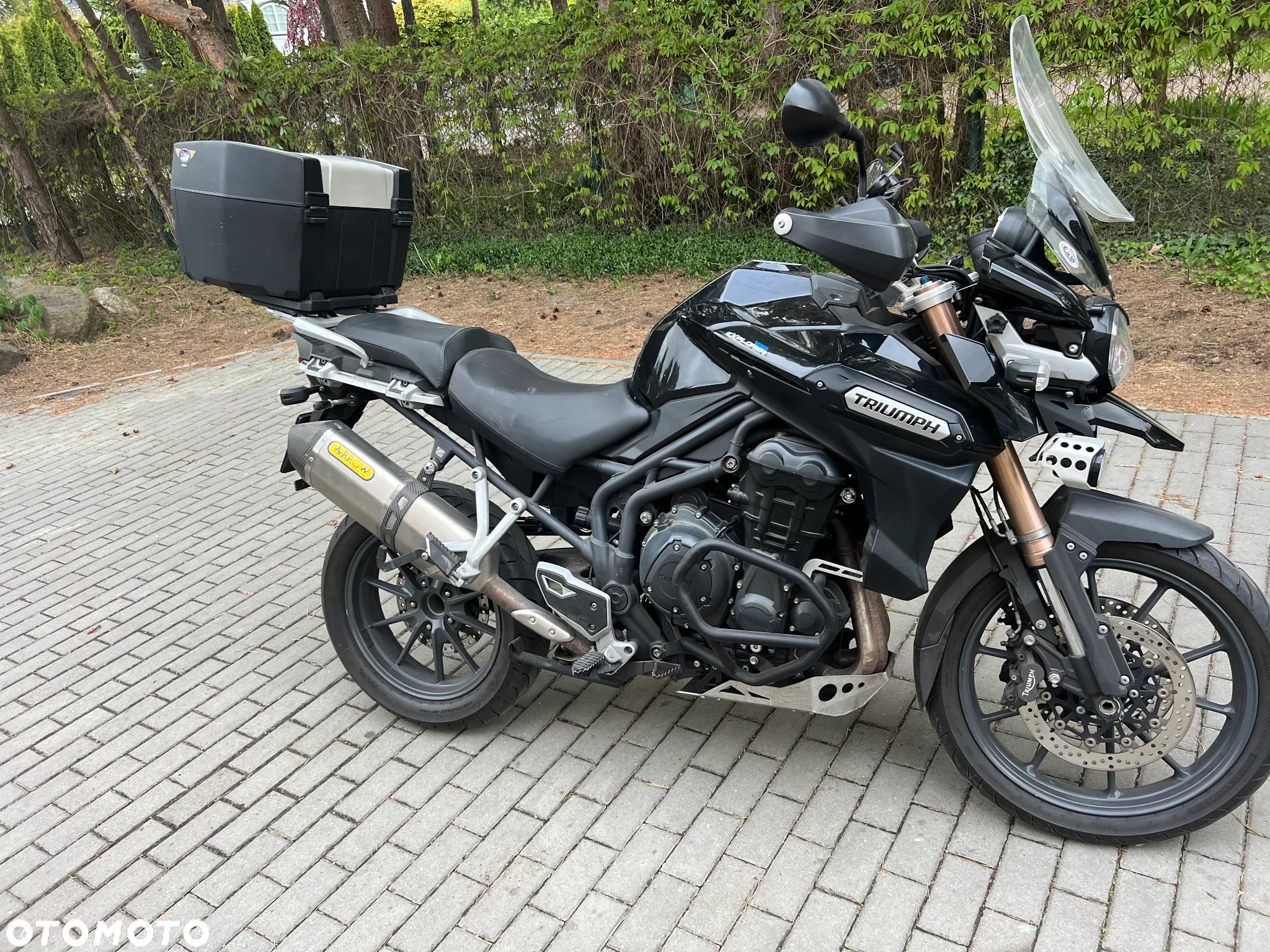 Triumph Tiger