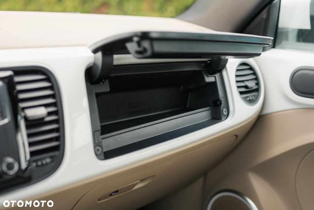 Volkswagen Beetle - 29