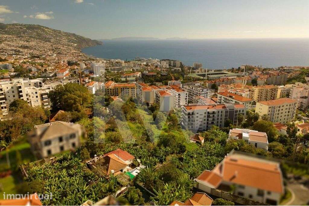 TERRENO EXTRAORDINÁRIAMENTE AMPLO no FUNCHAL EM ZONA PRIME DE 4.590m2 - Grande imagem: 2/30