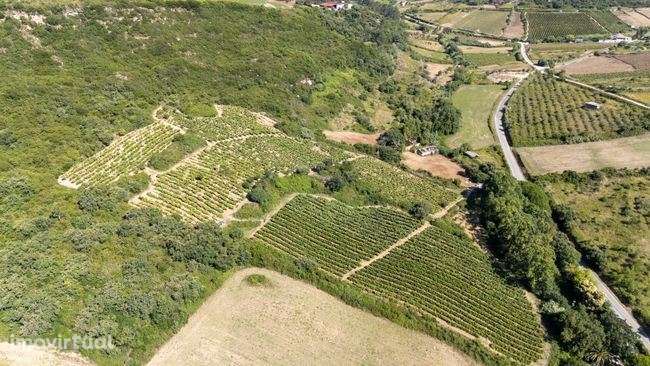 Terreno Rústico com 35.880m² em Sobral Monte Agraço - Grande imagem: 5/7