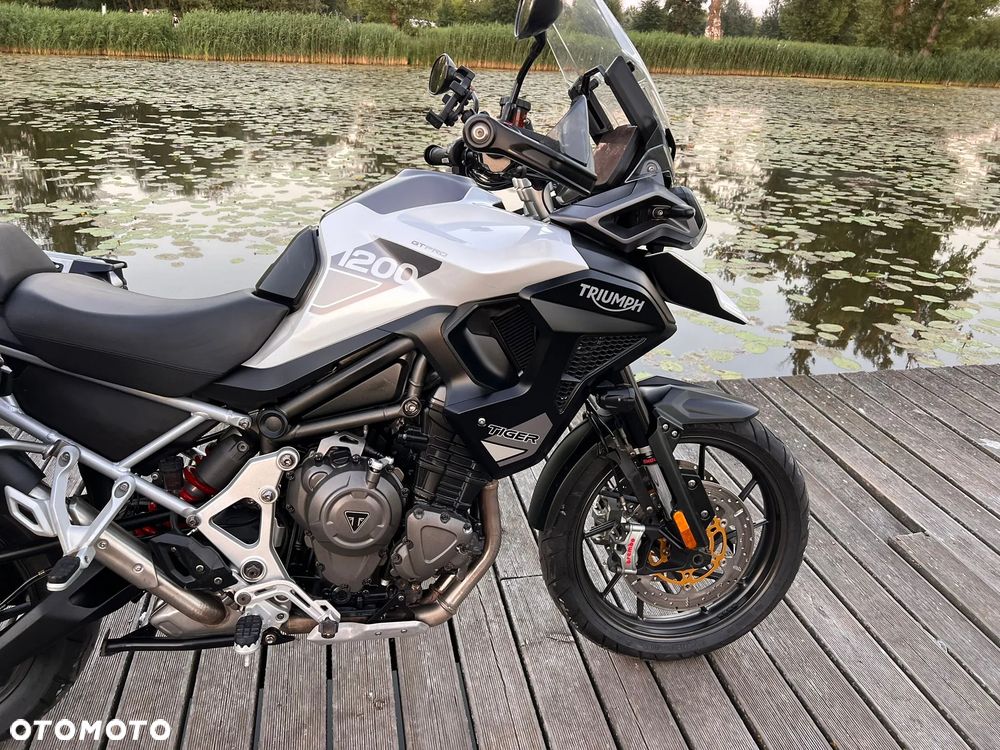 Triumph Tiger - 19