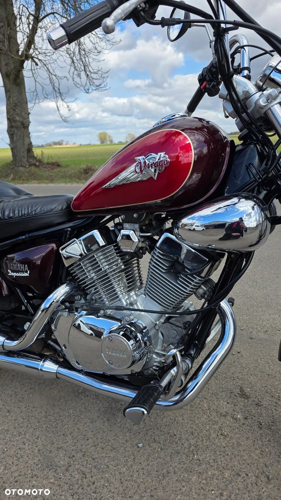 Yamaha Virago - 6