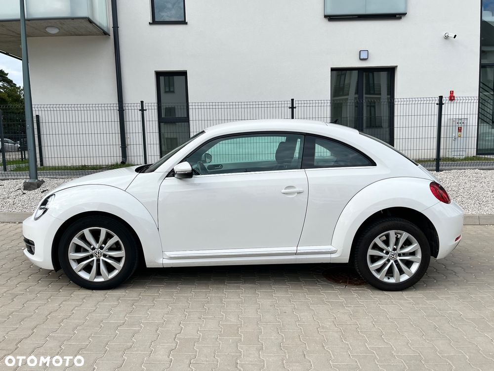 Volkswagen Beetle - 8