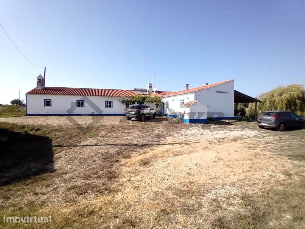 Herdade de 48,5Ha localizada no Malavado, São Teotónio com 20Ha de ... - Grande imagem: 3/34