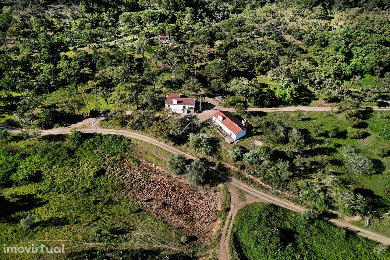 Terreno com vista mar e licença de construção em Melides - Grande imagem: 3/22