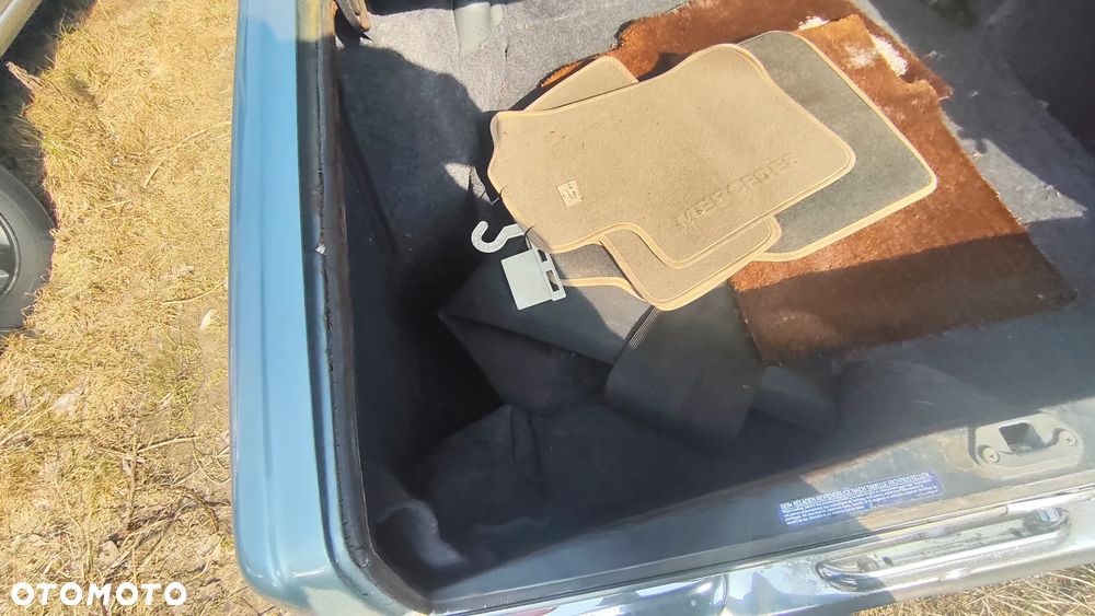 Mercedes-Benz W111 - 34