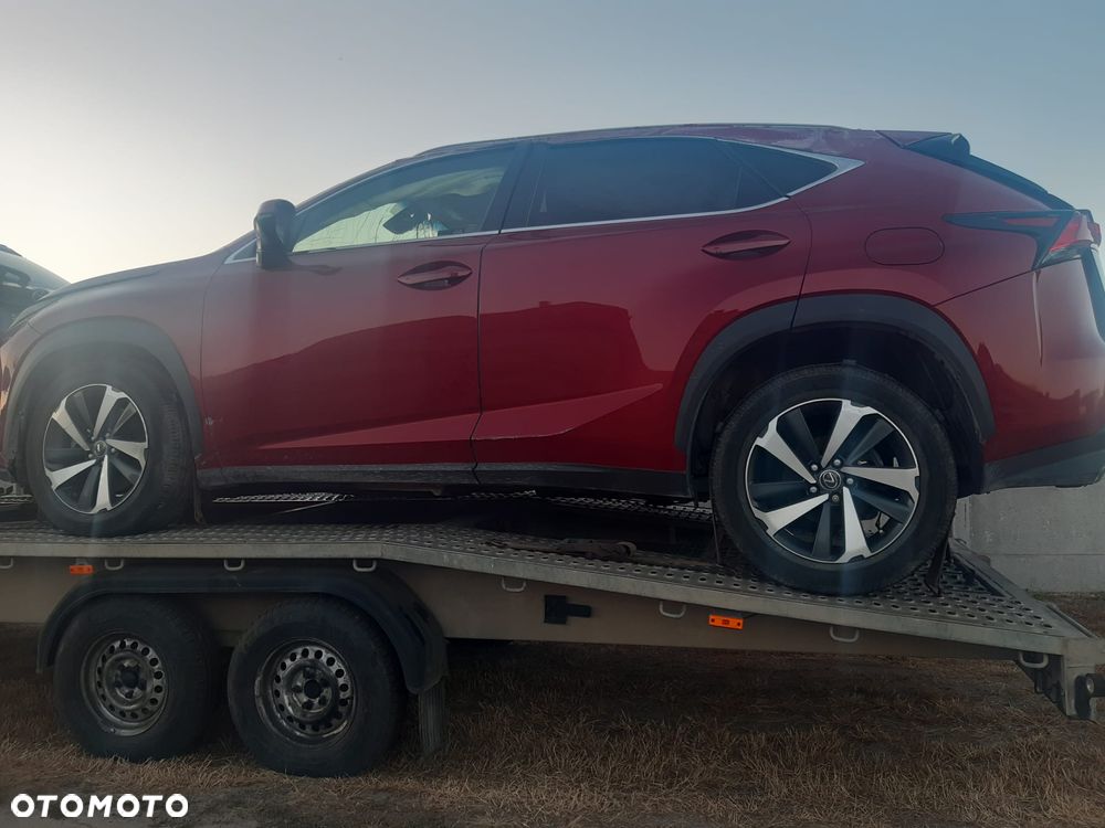 Lexus NX 300 Prestige AWD - 5