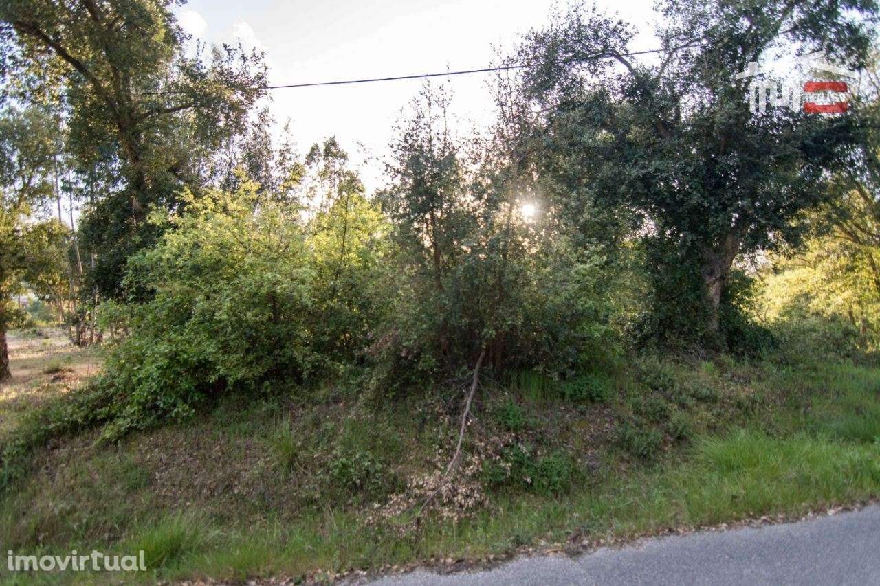 Terreno para construção, de moradia. - Grande imagem: 3/5