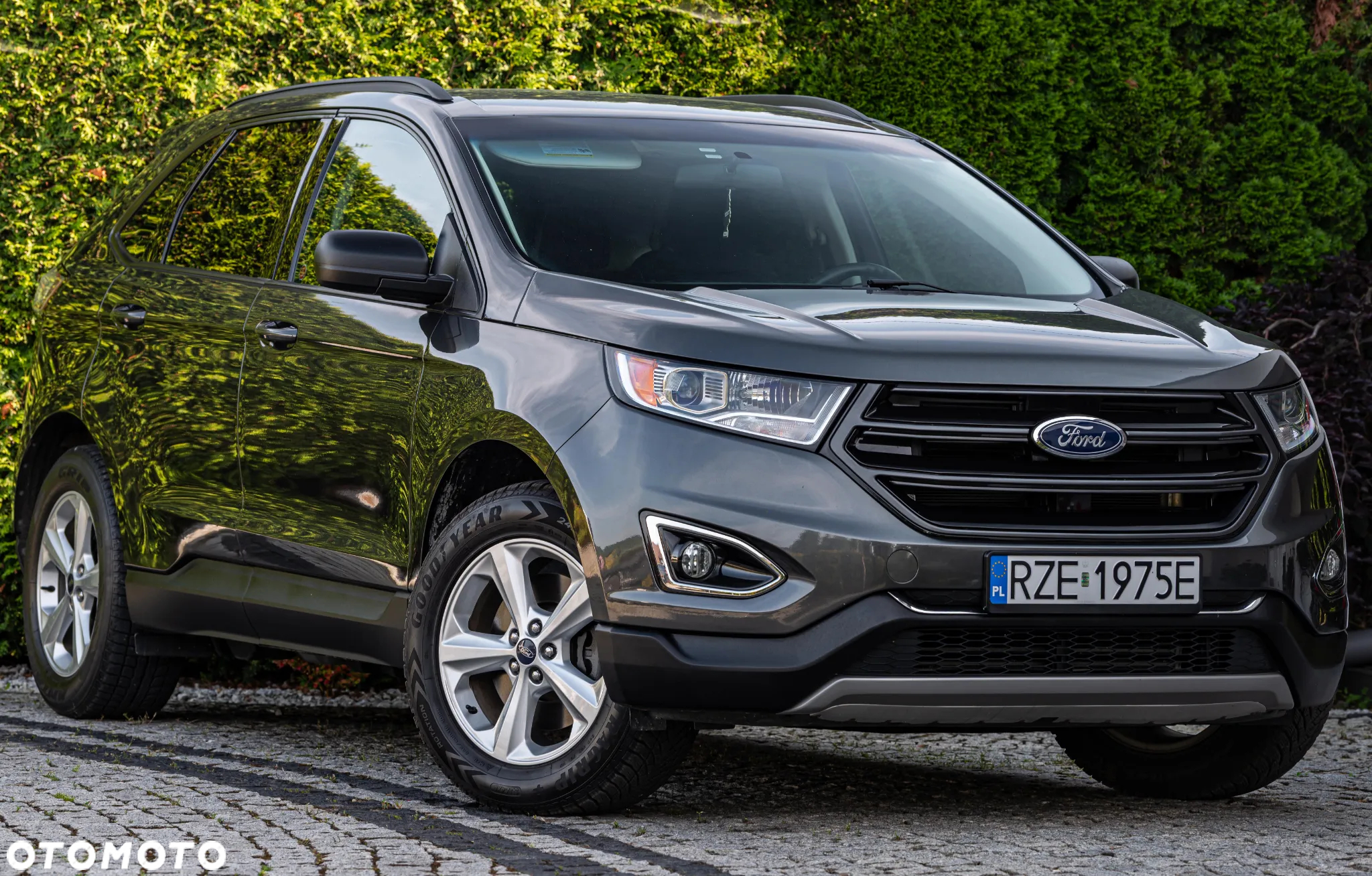 Ford Edge - 7