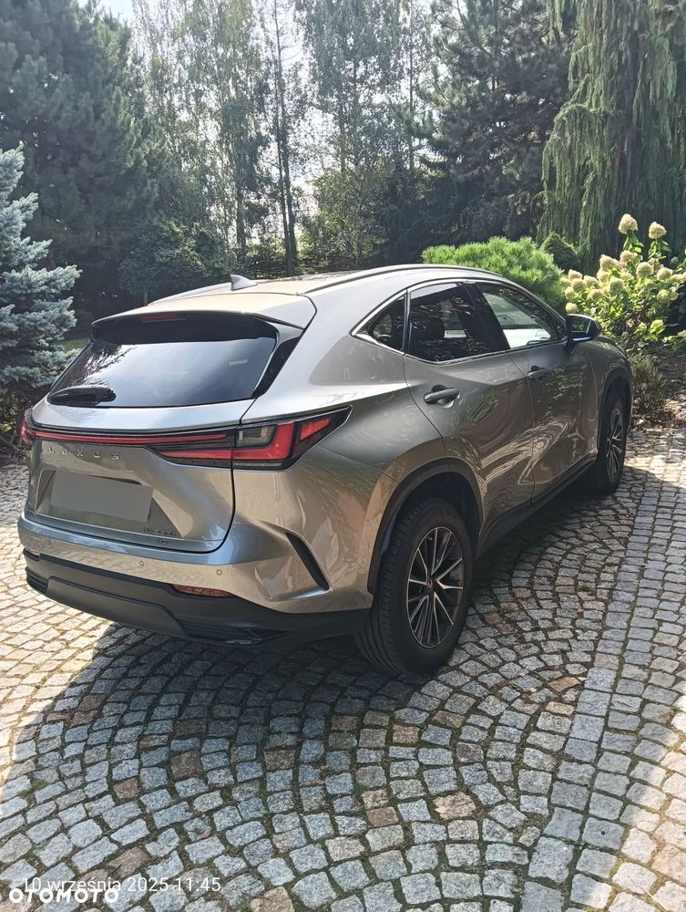 Lexus NX 350h Prestige AWD - 34