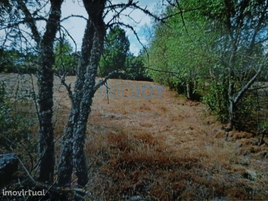 Terreno Rústico para Venda Ade, Guarda - Grande imagem: 2/16