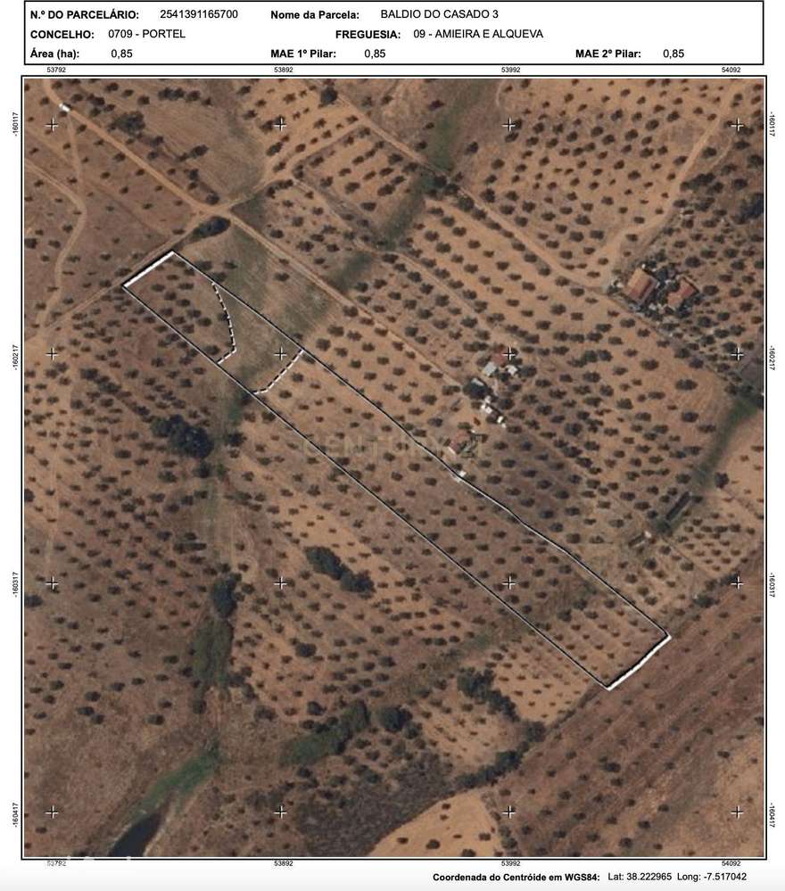 Terreno Rústico na Região de Portel, junto à Vila do Alqueva - Grande imagem: 3/20