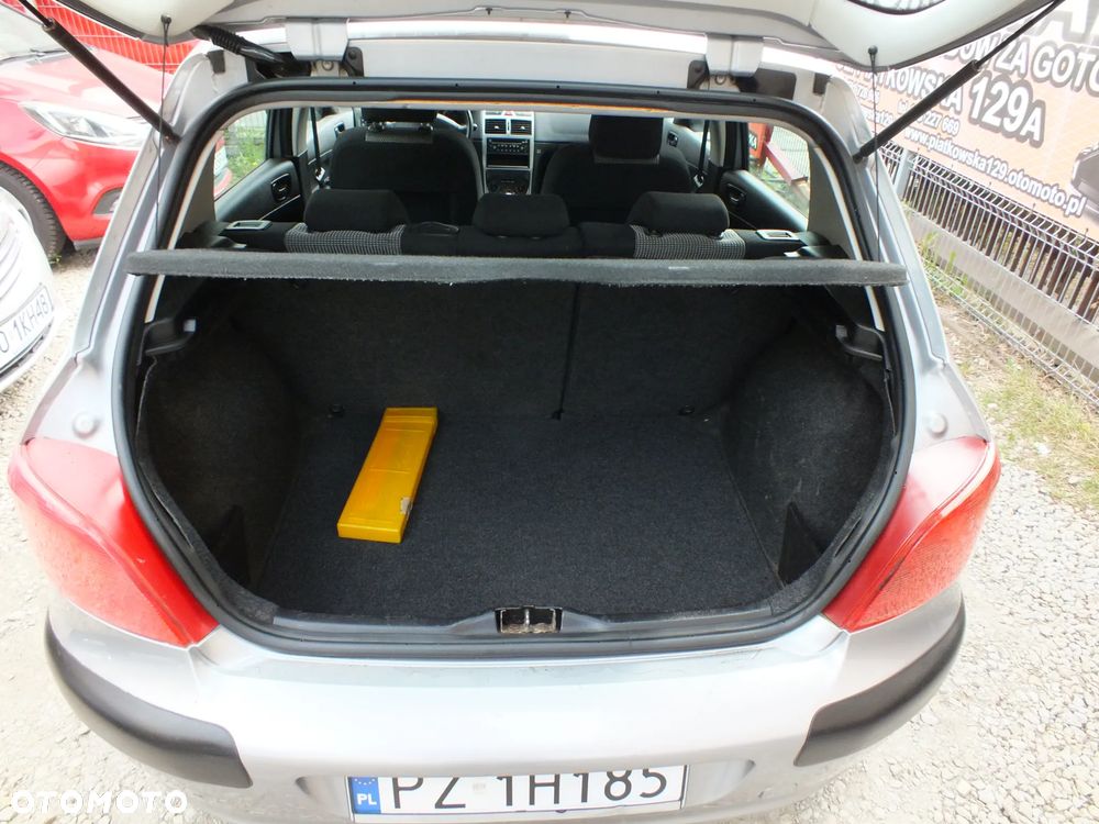 Peugeot 307 - 25