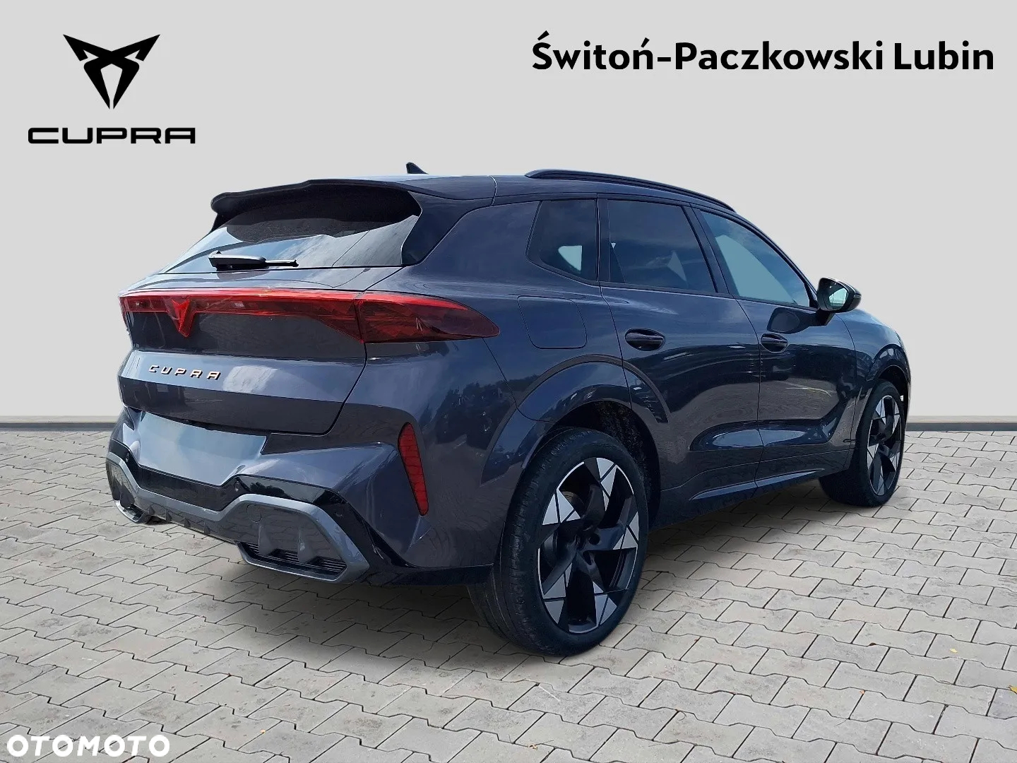 Cupra Terramar - 6