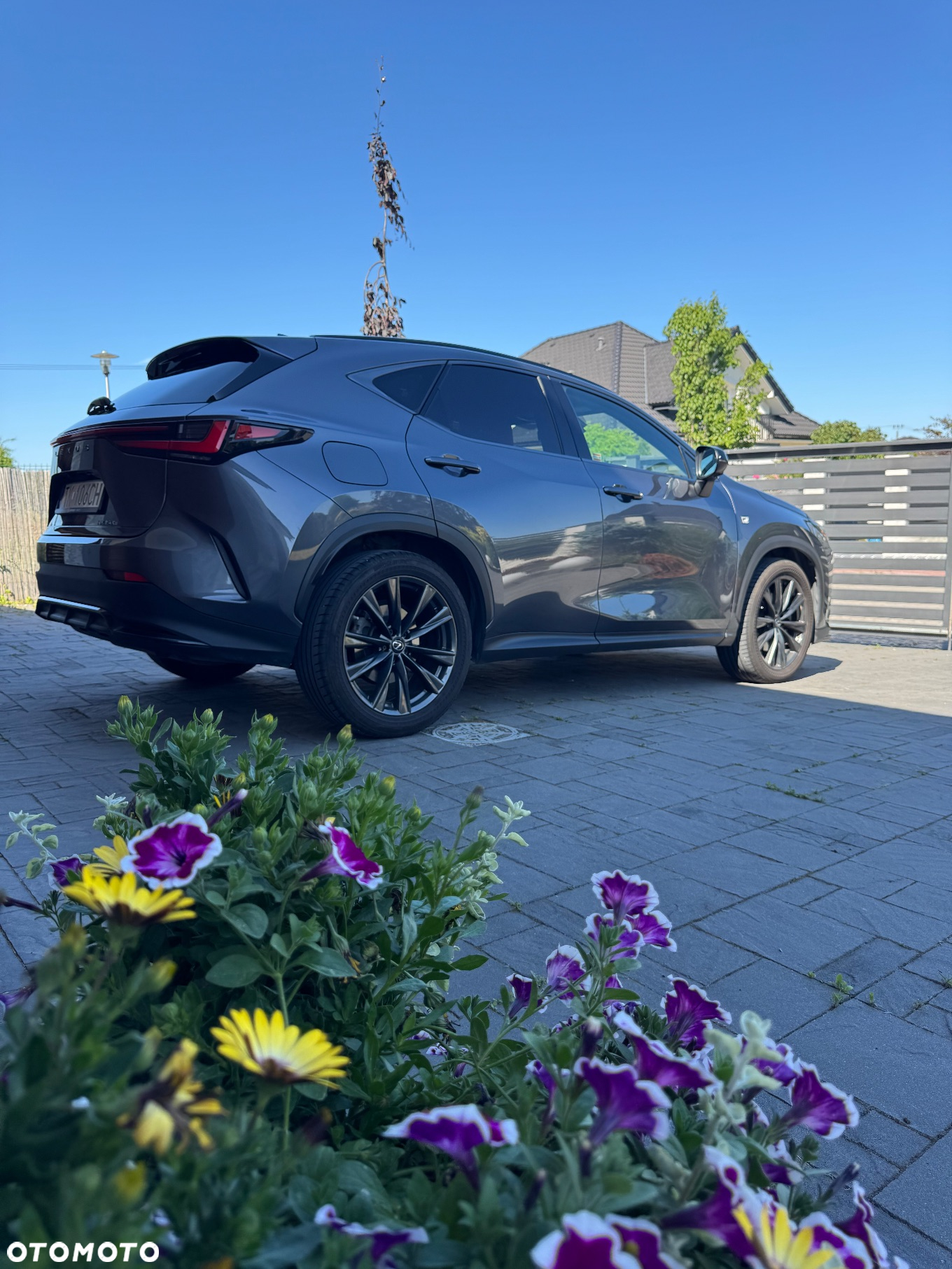 Lexus NX 450h+ F Sport AWD - 3