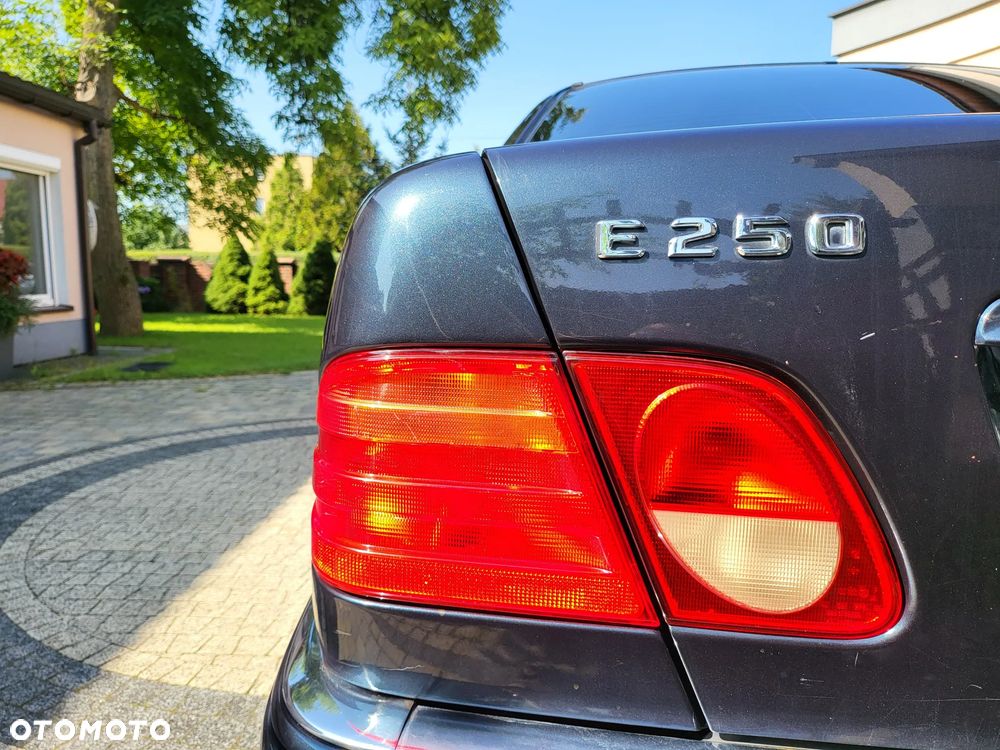 Mercedes-Benz Klasa E 250 TD Elegance - 4